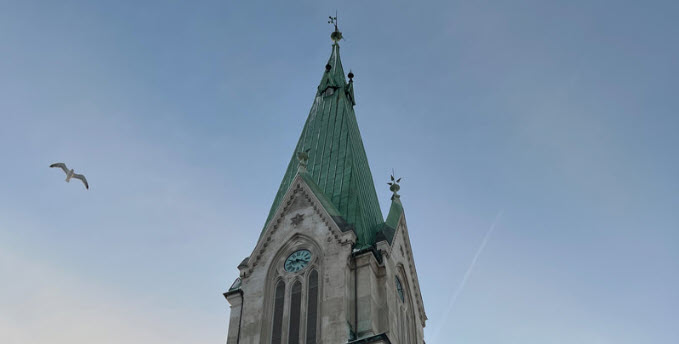 Tårnet på domkirken med blå himmel i bakgrunnen, en måke flyr forbi på venstre side. Foto.